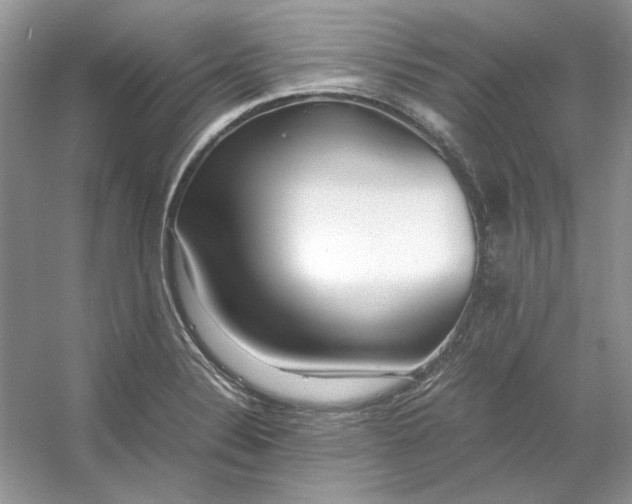 X0000053111324200507251647