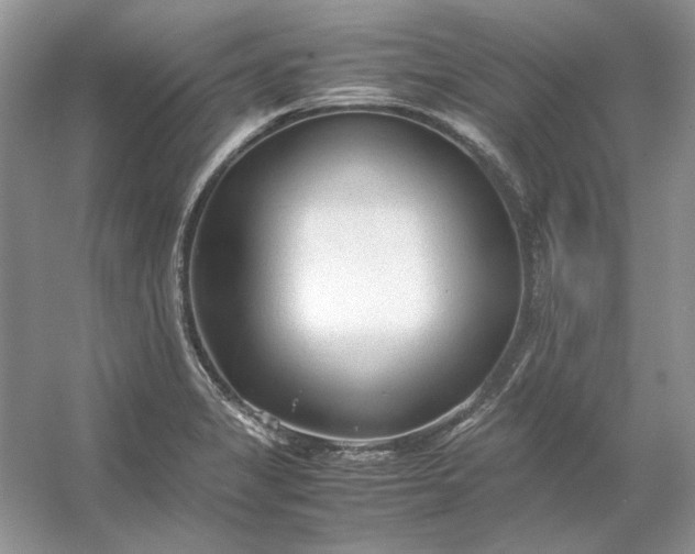 X0000053111325200507251647