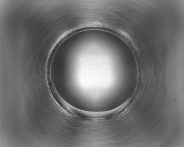 X0000053111326200507251647