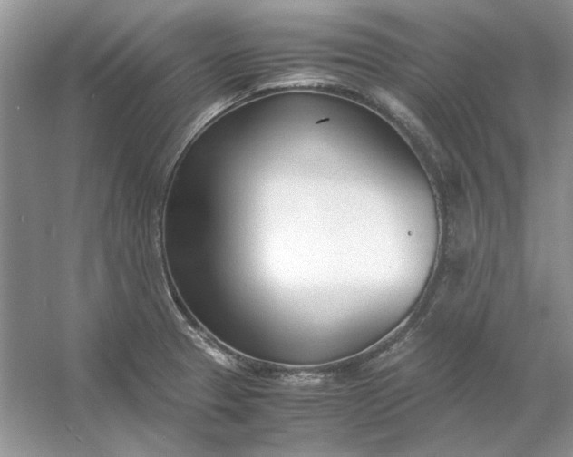 X0000053111329200507251647