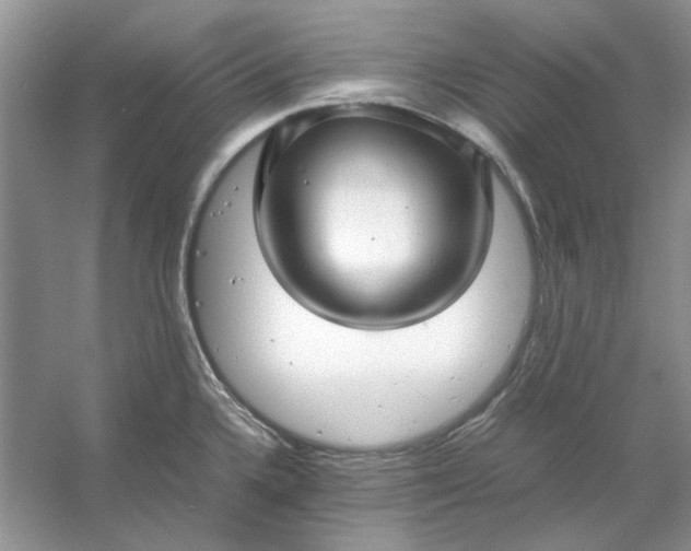 X0000053111336200507251647