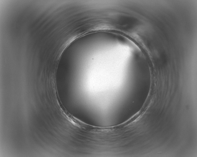 X0000053111337200507251647
