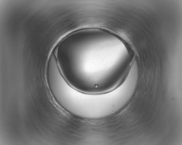 X0000053111340200507251647