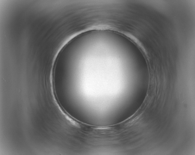 X0000053111343200507251647