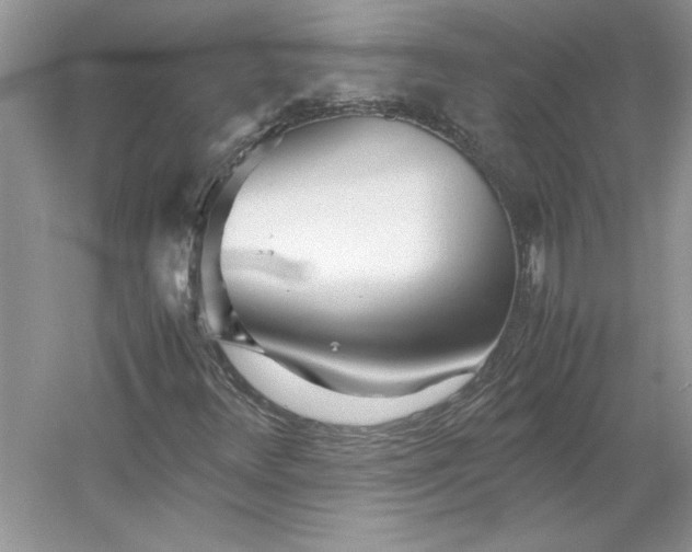 X0000053111348200507251646