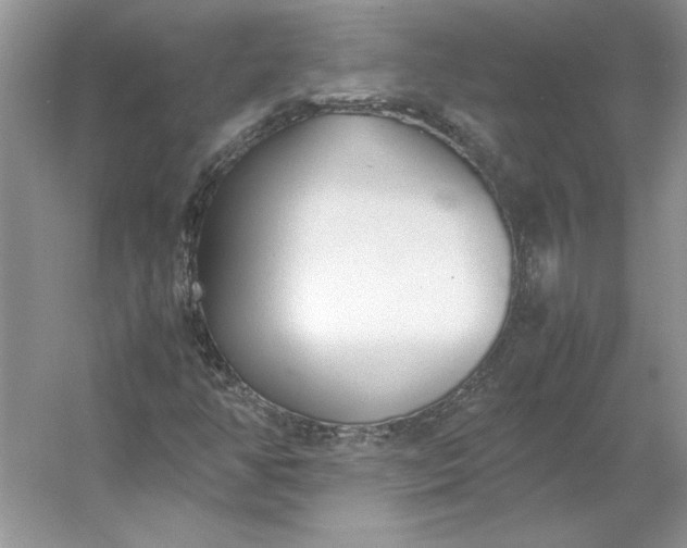 X0000053111350200507251646