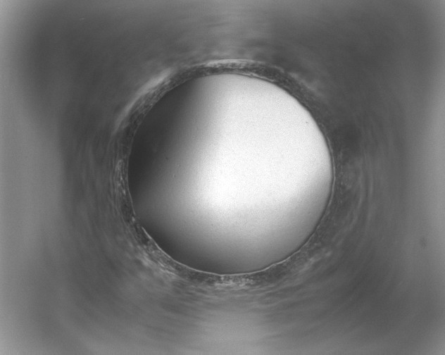 X0000053111351200507251646