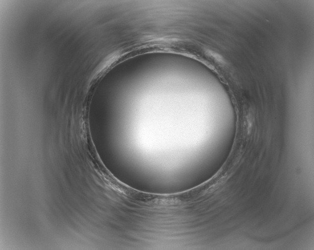 X0000053111354200507251646