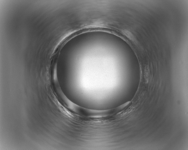 X0000053111356200507251646