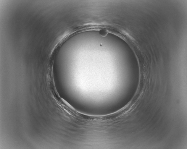 X0000053111357200507251646