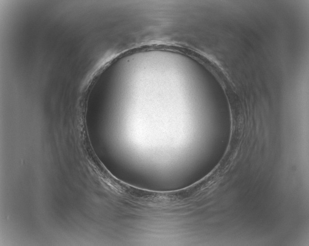 X0000053111359200507251646