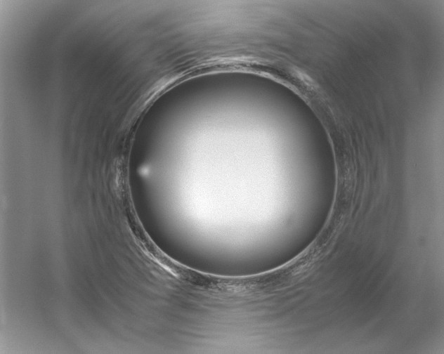 X0000053111361200507251646