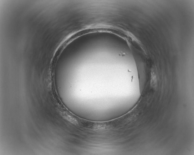 X0000053111364200507251646