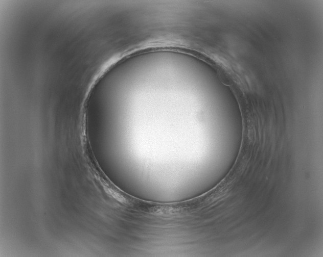 X0000053111366200507251646
