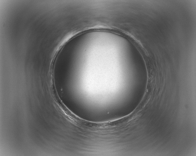 X0000053111367200507251646
