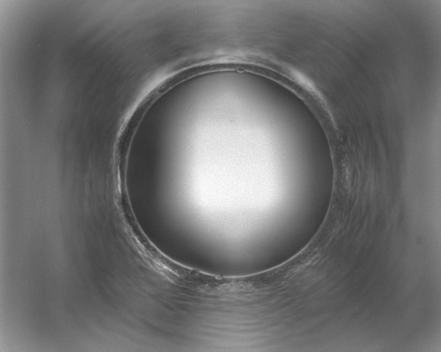 X0000053111368200507251646