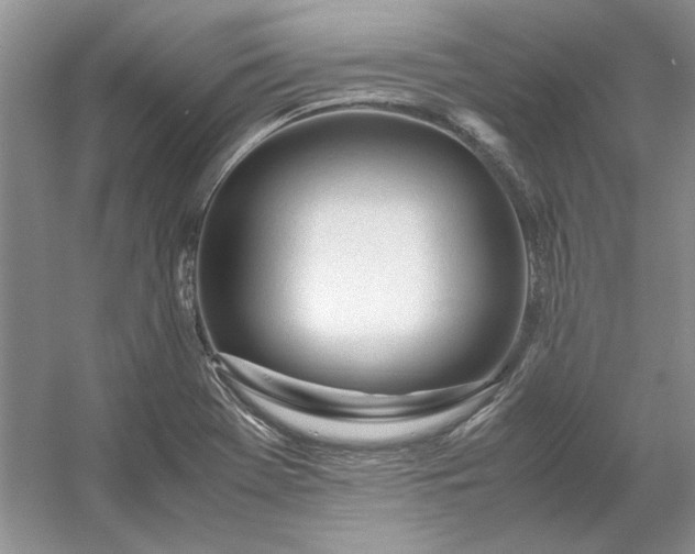 X0000053111369200507251646