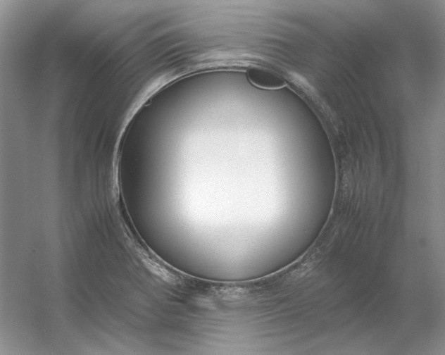 X0000053111370200507251646