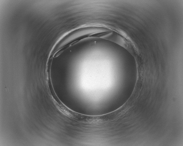 X0000053111372200507251646