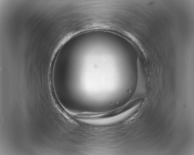 X0000053111373200507251646