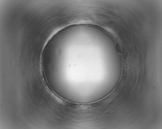 X0000053111374200507251646