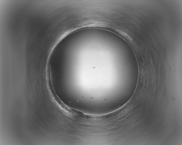X0000053111375200507251646