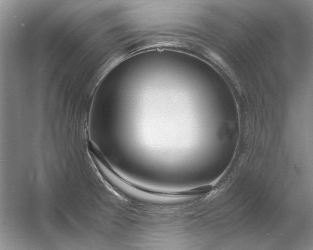 X0000053111377200507251646