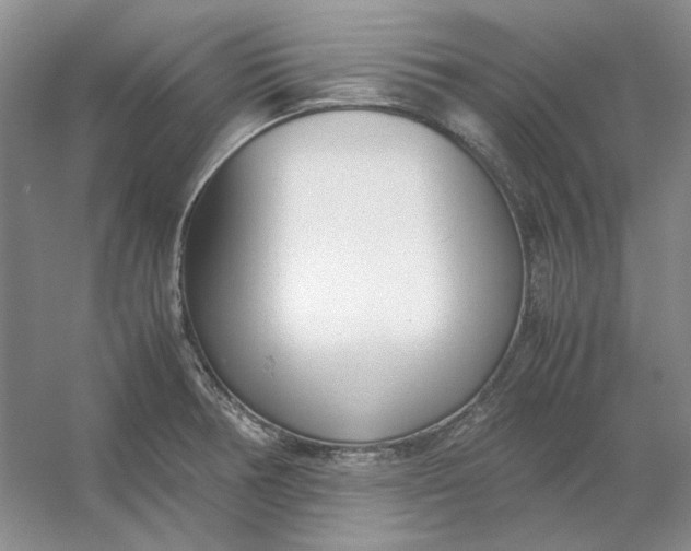 X0000053111378200507251646