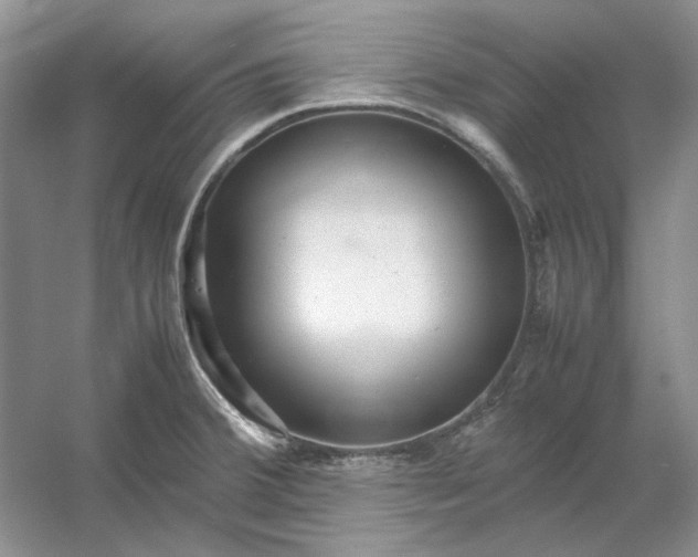 X0000053111380200507251646
