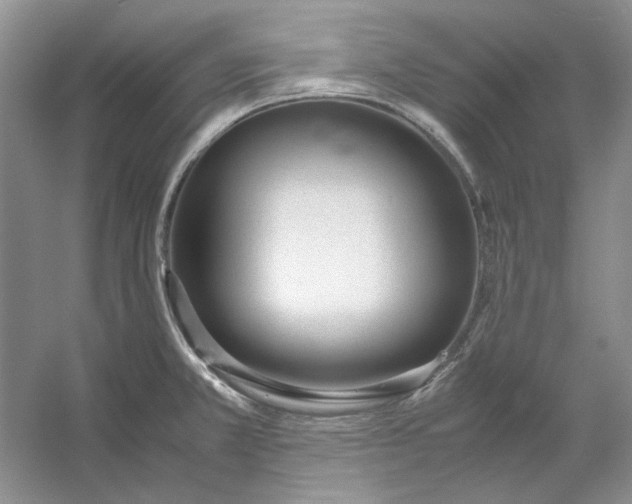 X0000053111381200507251646