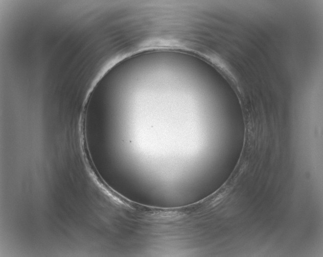 X0000053111382200507251646