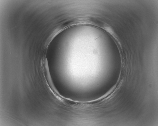 X0000053111385200507251645