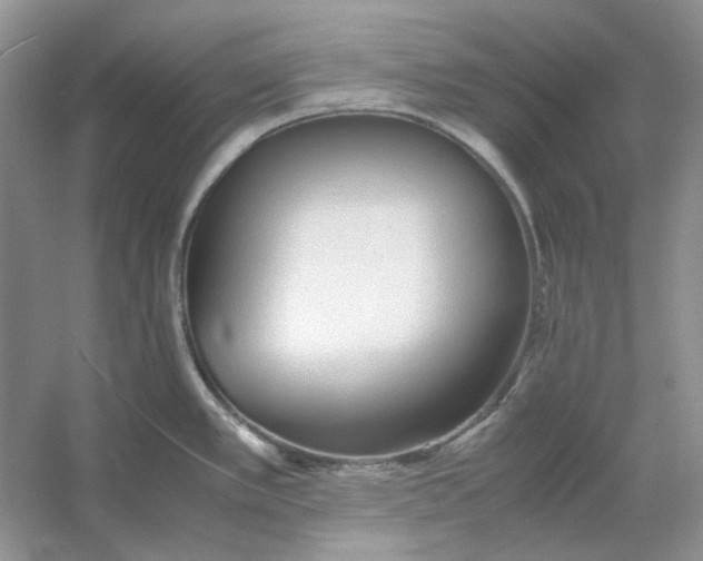 X0000053111389200507251645