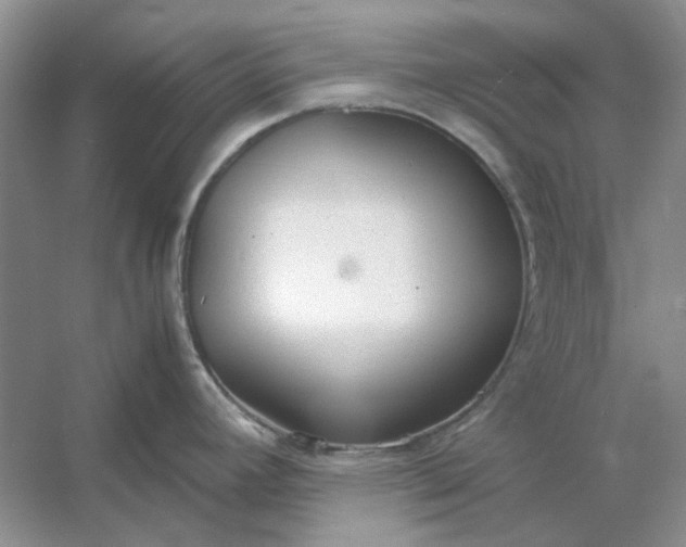 X0000053111392200507251645