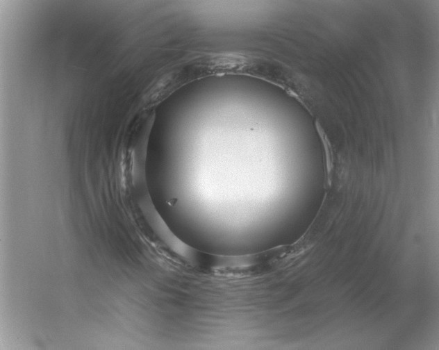 X0000053111394200507251645