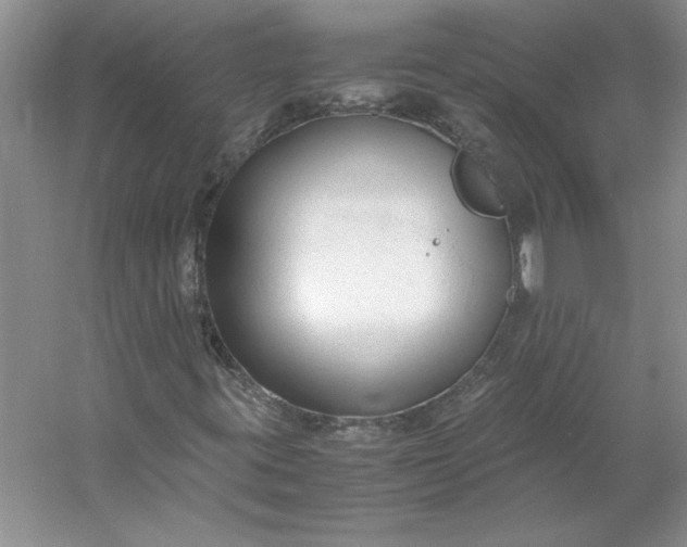 X0000053111395200507251645