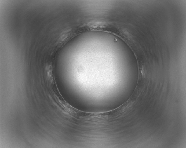 X0000053111396200507251645