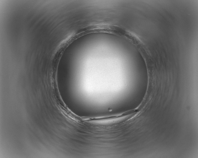 X0000053111403200507251645