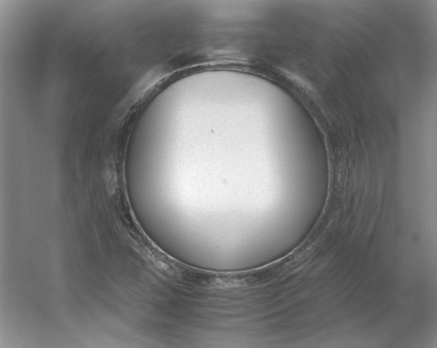 X0000053111407200507251645