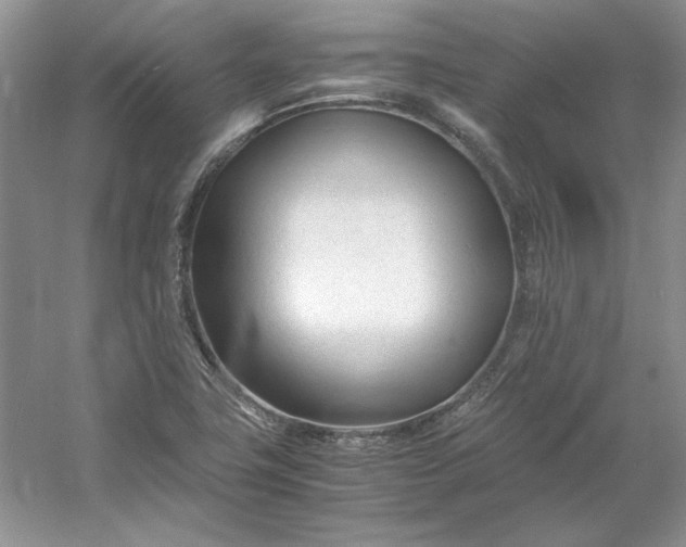 X0000053111411200507251645
