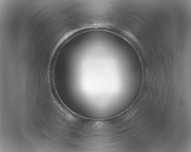 X0000053111412200507251645