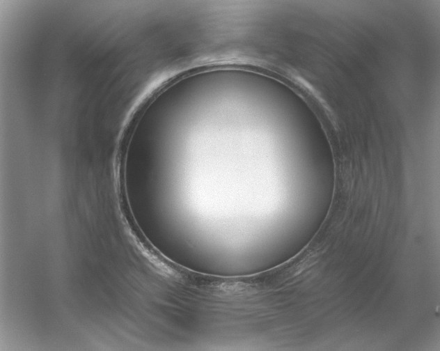 X0000053111416200507251645