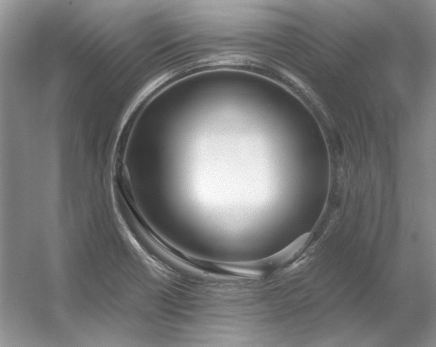 X0000053111418200507251645