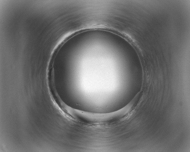 X0000053111422200507251645