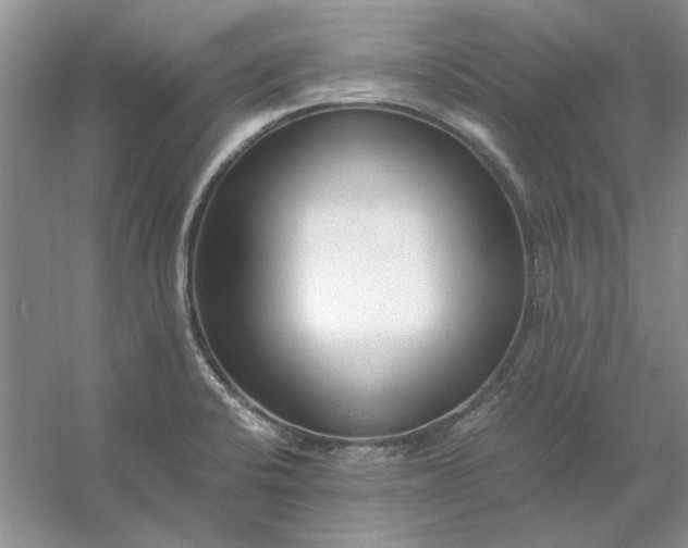 X0000053111424200507251645