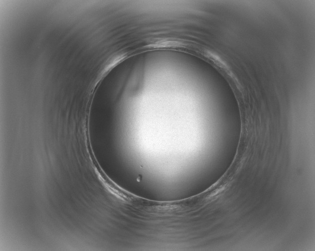 X0000053111425200507251645