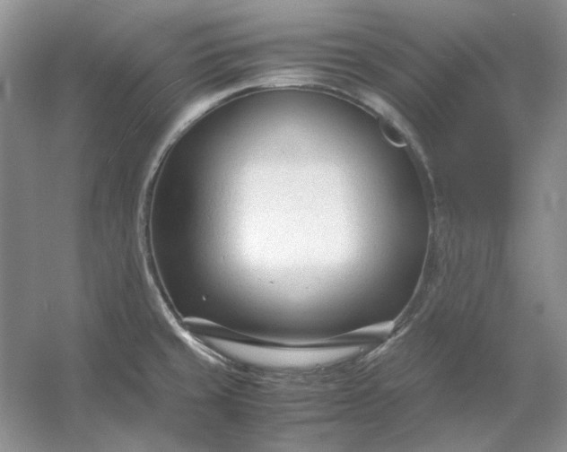 X0000053111429200507251645