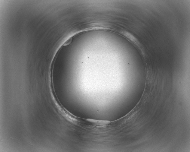 X0000053111431200507251645