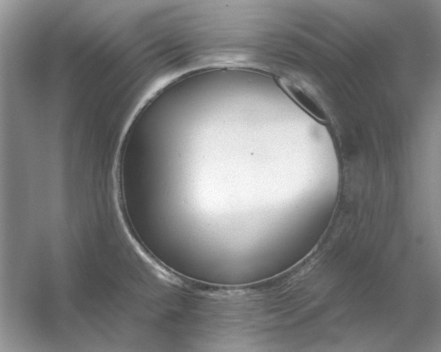 X0000053111432200507251645