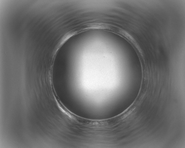 X0000053111433200507251645